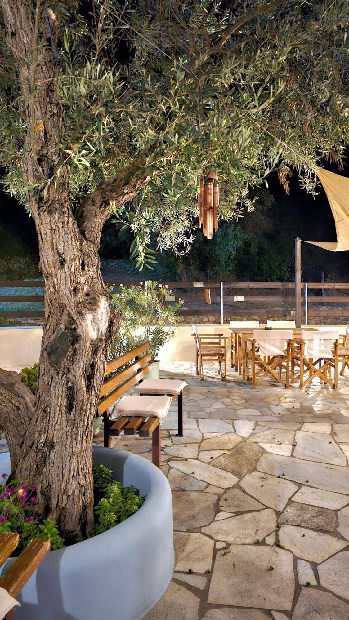Pension Oasis Votsi  Exterior photo